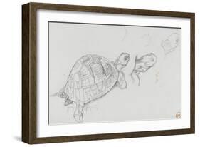 Etudes de tortue-Gustave Moreau-Framed Giclee Print