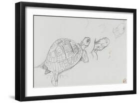 Etudes de tortue-Gustave Moreau-Framed Giclee Print