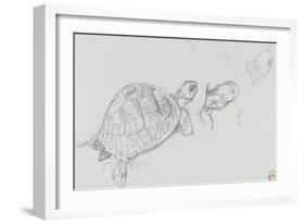 Etudes de tortue-Gustave Moreau-Framed Giclee Print