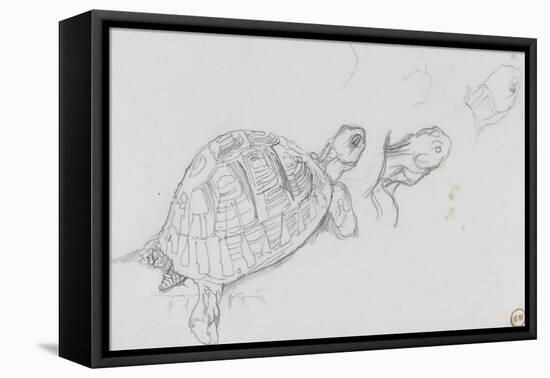 Etudes de tortue-Gustave Moreau-Framed Stretched Canvas
