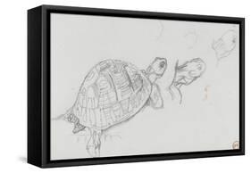 Etudes de tortue-Gustave Moreau-Framed Stretched Canvas