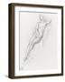 Etudes pour Galatée-Gustave Moreau-Framed Giclee Print