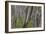 Eucalypt Forest View into a Lightly Wooded Coastal-null-Framed Photographic Print