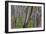 Eucalypt Forest View into a Lightly Wooded Coastal-null-Framed Photographic Print