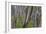 Eucalypt Forest View into a Lightly Wooded Coastal-null-Framed Photographic Print