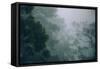 Eucalyptus and Fog Design-null-Framed Stretched Canvas