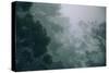 Eucalyptus and Fog Design-null-Stretched Canvas