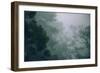 Eucalyptus and Fog Design-null-Framed Photographic Print