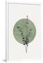 Eucalyptus and Green Moon-THE MIUUS STUDIO-Framed Giclee Print