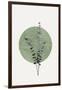 Eucalyptus and Green Moon-THE MIUUS STUDIO-Framed Giclee Print