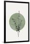 Eucalyptus and Green Moon-THE MIUUS STUDIO-Framed Giclee Print