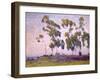 Eucalyptus and Moonrise-Maurice Braun-Framed Art Print