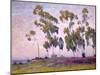 Eucalyptus and Moonrise-Maurice Braun-Mounted Art Print