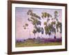 Eucalyptus and Moonrise-Maurice Braun-Framed Art Print