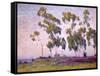 Eucalyptus and Moonrise-Maurice Braun-Framed Stretched Canvas