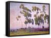 Eucalyptus and Moonrise-Maurice Braun-Framed Stretched Canvas