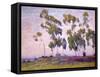 Eucalyptus and Moonrise-Maurice Braun-Framed Stretched Canvas