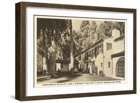 Eucalyptus at Biltmore Hotel, Santa Barbara, California-null-Framed Art Print