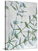 Eucalyptus Blues-Albert Koetsier-Stretched Canvas