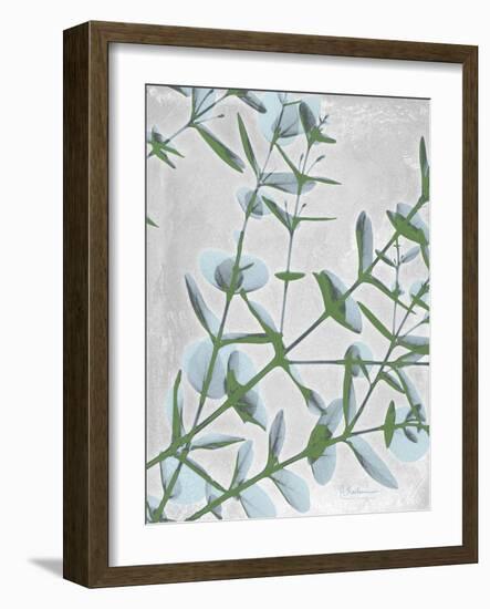 Eucalyptus Blues-Albert Koetsier-Framed Art Print