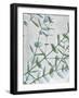 Eucalyptus Blues-Albert Koetsier-Framed Art Print