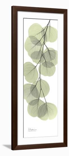 Eucalyptus Branch Down-Albert Koetsier-Framed Art Print