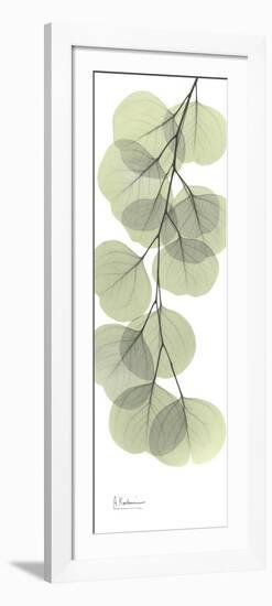 Eucalyptus Branch Down-Albert Koetsier-Framed Art Print