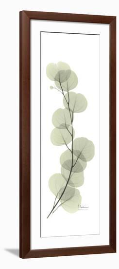 Eucalyptus Branch Up-Albert Koetsier-Framed Premium Giclee Print
