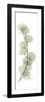 Eucalyptus Branch Up-Albert Koetsier-Framed Premium Giclee Print