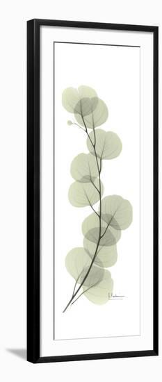 Eucalyptus Branch Up-Albert Koetsier-Framed Premium Giclee Print