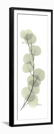 Eucalyptus Branch Up-Albert Koetsier-Framed Premium Giclee Print