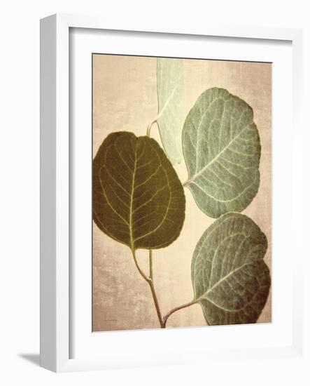 Eucalyptus Color-Debra Van Swearingen-Framed Art Print
