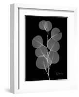 Eucalyptus E196-Albert Koetsier-Framed Art Print