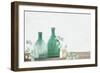 Eucalyptus Glass-Kimberly Allen-Framed Art Print