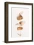 Eucalyptus Gold No 06-1x Studio III-Framed Photographic Print