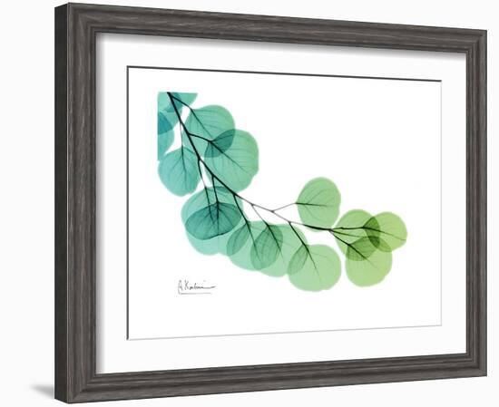 Eucalyptus Green Blue-Albert Koetsier-Framed Premium Giclee Print