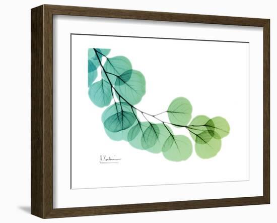 Eucalyptus Green Blue-Albert Koetsier-Framed Premium Giclee Print