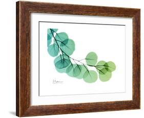 Eucalyptus Green Blue-Albert Koetsier-Framed Premium Giclee Print