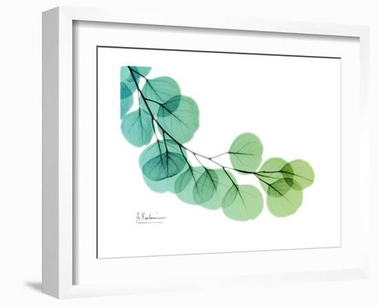 Eucalyptus Green Blue-Albert Koetsier-Framed Premium Giclee Print