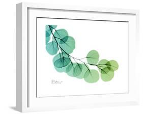 Eucalyptus Green Blue-Albert Koetsier-Framed Premium Giclee Print