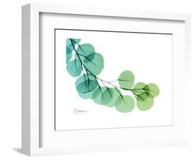 Eucalyptus Green Blue-Albert Koetsier-Framed Premium Giclee Print