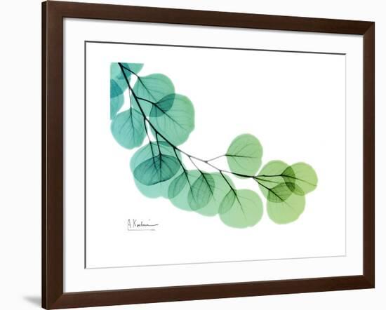 Eucalyptus Green Blue-Albert Koetsier-Framed Premium Giclee Print