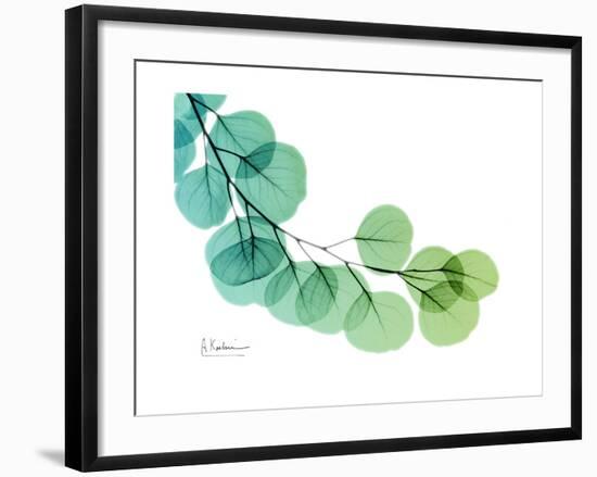 Eucalyptus Green Blue-Albert Koetsier-Framed Premium Giclee Print