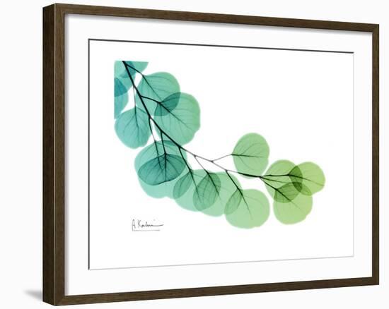 Eucalyptus Green Blue-Albert Koetsier-Framed Premium Giclee Print