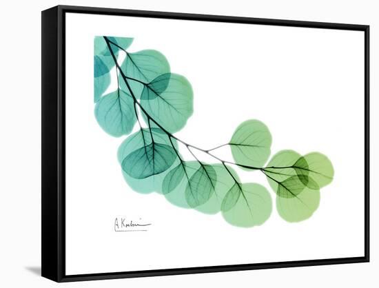 Eucalyptus Green Blue-Albert Koetsier-Framed Stretched Canvas