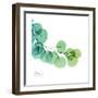 Eucalyptus Green-Albert Koetsier-Framed Art Print