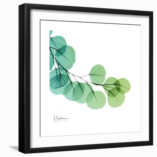 Eucalyptus Green-Albert Koetsier-Framed Art Print