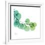 Eucalyptus Green-Albert Koetsier-Framed Art Print