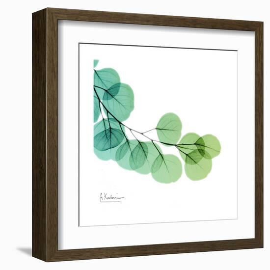 Eucalyptus Green-Albert Koetsier-Framed Art Print