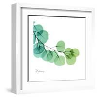 Eucalyptus Green-Albert Koetsier-Framed Art Print